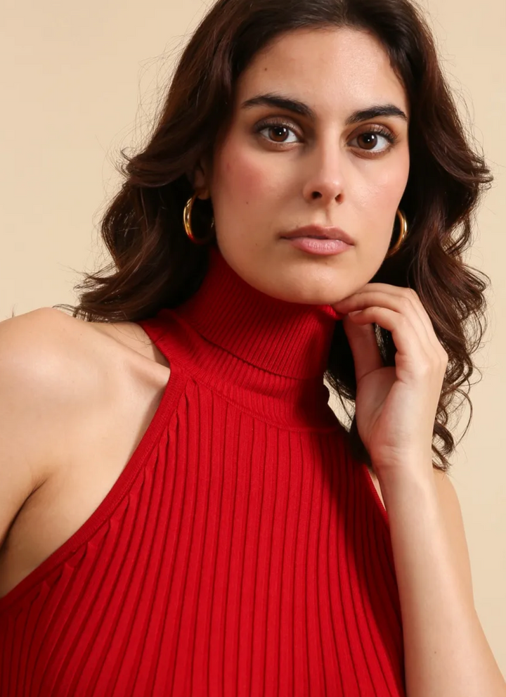 Top col roulé maille côtelée